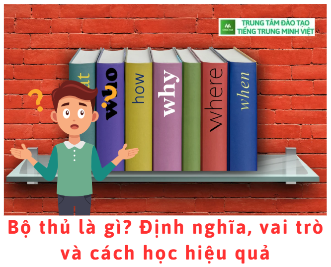 bo-thu-la-gi-dinh-nghia-vai-tro-va-cach-hoc-hieu-qua