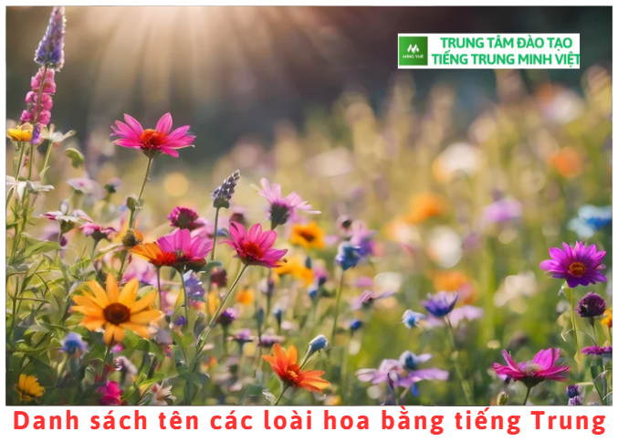 danh-sach-ten-cac-loai-hoa-bang-tieng-trung