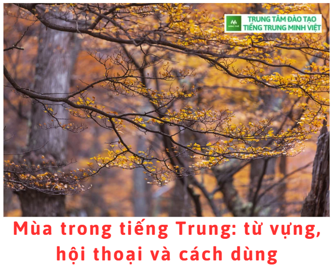 mua-trong-tieng-trung-tu-vung-hoi-thoai-va-cach-dung