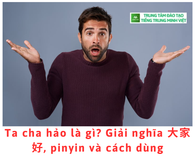 ta-cha-hao-la-gi-giai-nghia-pinyin-va-cach-dung.png