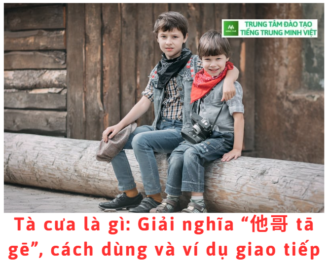 ta-cua-la-gi-giai-nghia-cach-dung-va-vi-du-giao-tiepp.png