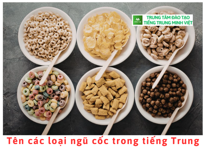 ten-cac-loai-ngu-coc-trong-tieng-trung