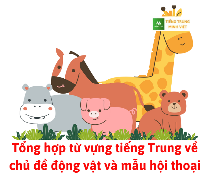 tong-hop-tu-vung-tieng-trung-ve-chu-de-dong-vat-va-mau-hoi-thoai