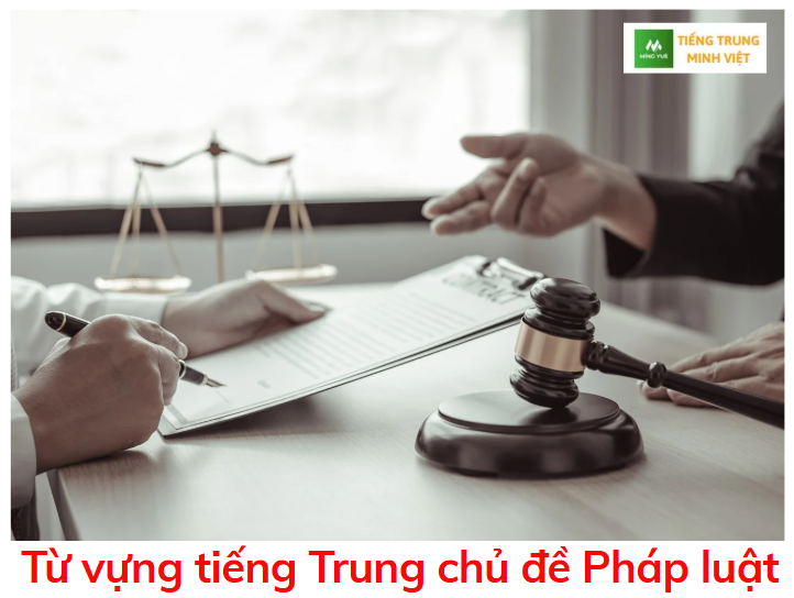 tu-vung-tieng-trung-chu-de-phap-luat