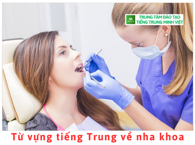 tu-vung-tieng-trung-ve-nha-khoa