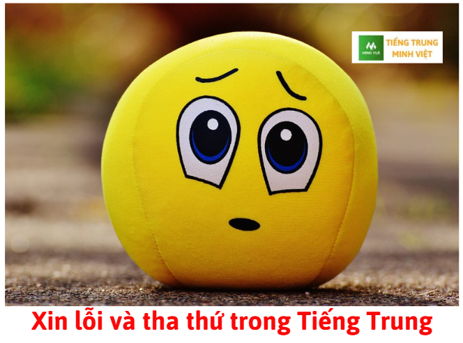 xin-loi-va-tha-thu-trong-tieng-trung